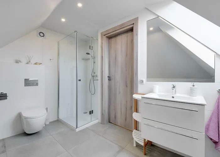 Sopocki Kasztanowy 索波特