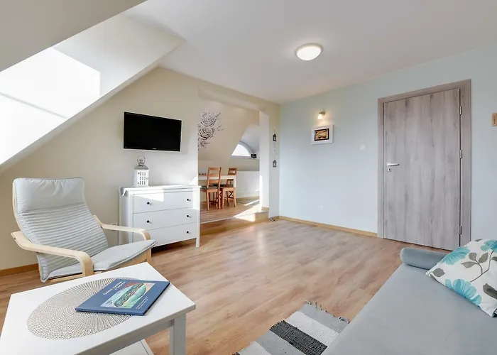 Sopocki Kasztanowy 索波特